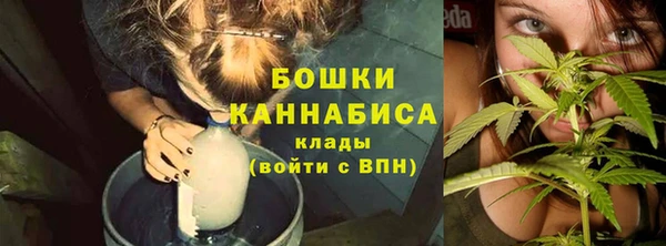 дурь Алзамай